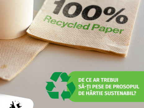 De ce ar trebui sa iti pese de prosopul de hartie sustenabil