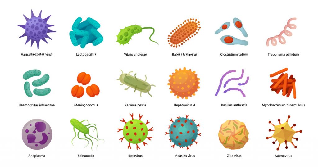 patogeni-virusuri-si-bacterii
