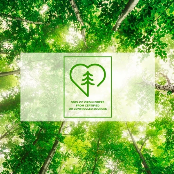 Prosoape de hartie pliate V, Defend Tech, Papernet 417820, albe, 21x22cm, 2 straturi, 210 servetele / pachet, 15 pachete / bax