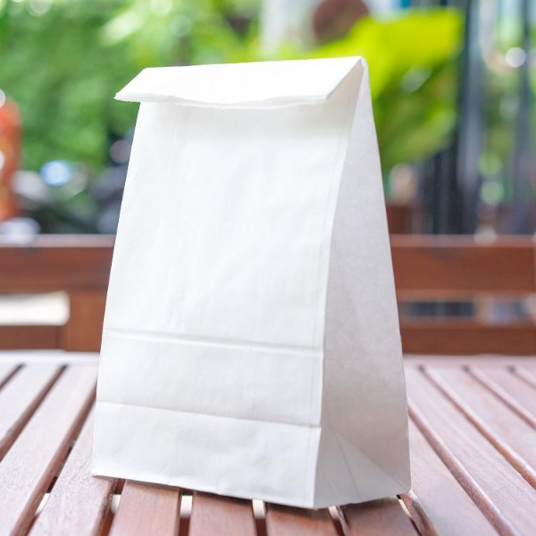 Punga transport, hartie alba, fara maner - 20x9x25cm - 500 BUCATA.