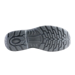 Ceahlau_talpa-scaled-1.jpg