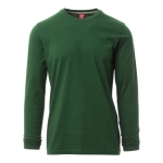 Pineta-Green.jpg