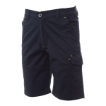 Service-Navy-Blue.jpg