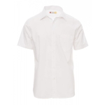 Spring-White.jpg