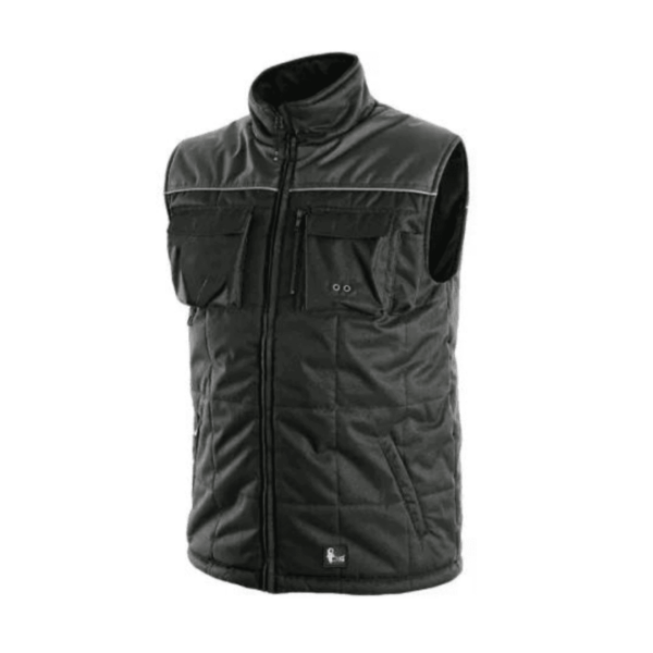 Vesta de iarna Seattle